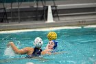 WWPolo vs CC  Wheaton College Women’s Water Polo compete in their sports inaugural match vs Connecticut College. - Photo By: KEITH NORDSTROM : Wheaton, water polo, inaugural